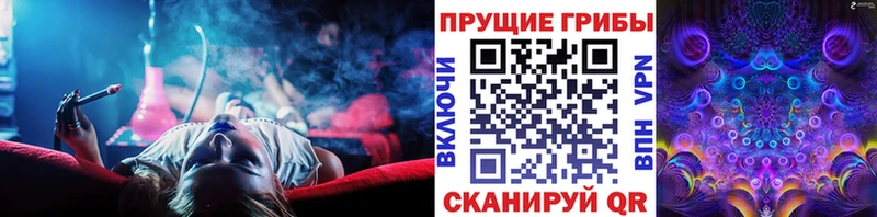 продажа наркотиков  Черноголовка  даркнет формула  Галлюциногенные грибы GOLDEN TEACHER 
